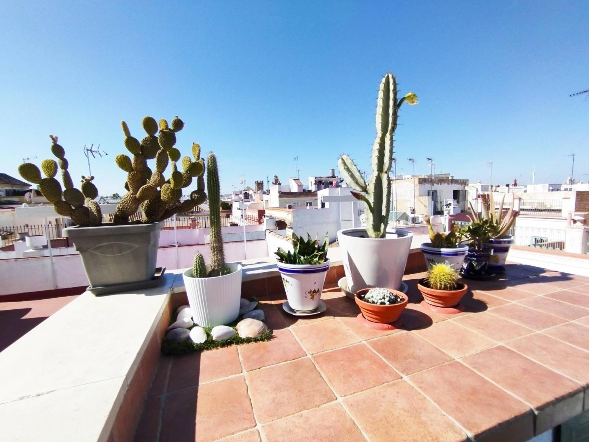 Casa Gavidia - Duplex With Panoramic View Apartment Sevilla Exterior foto